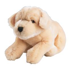 Patapouf le chien