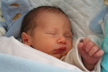 Nathan